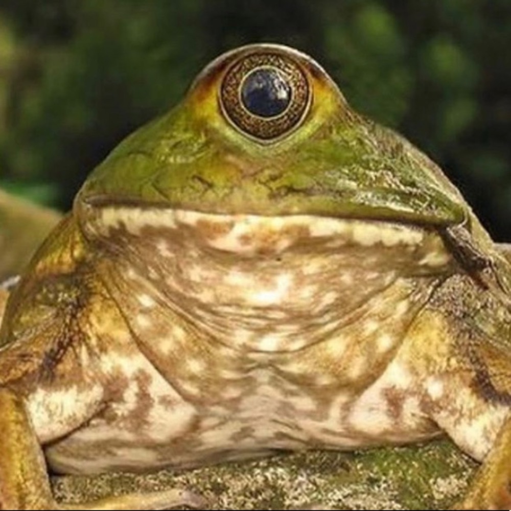Meet your Posher, Marlowe